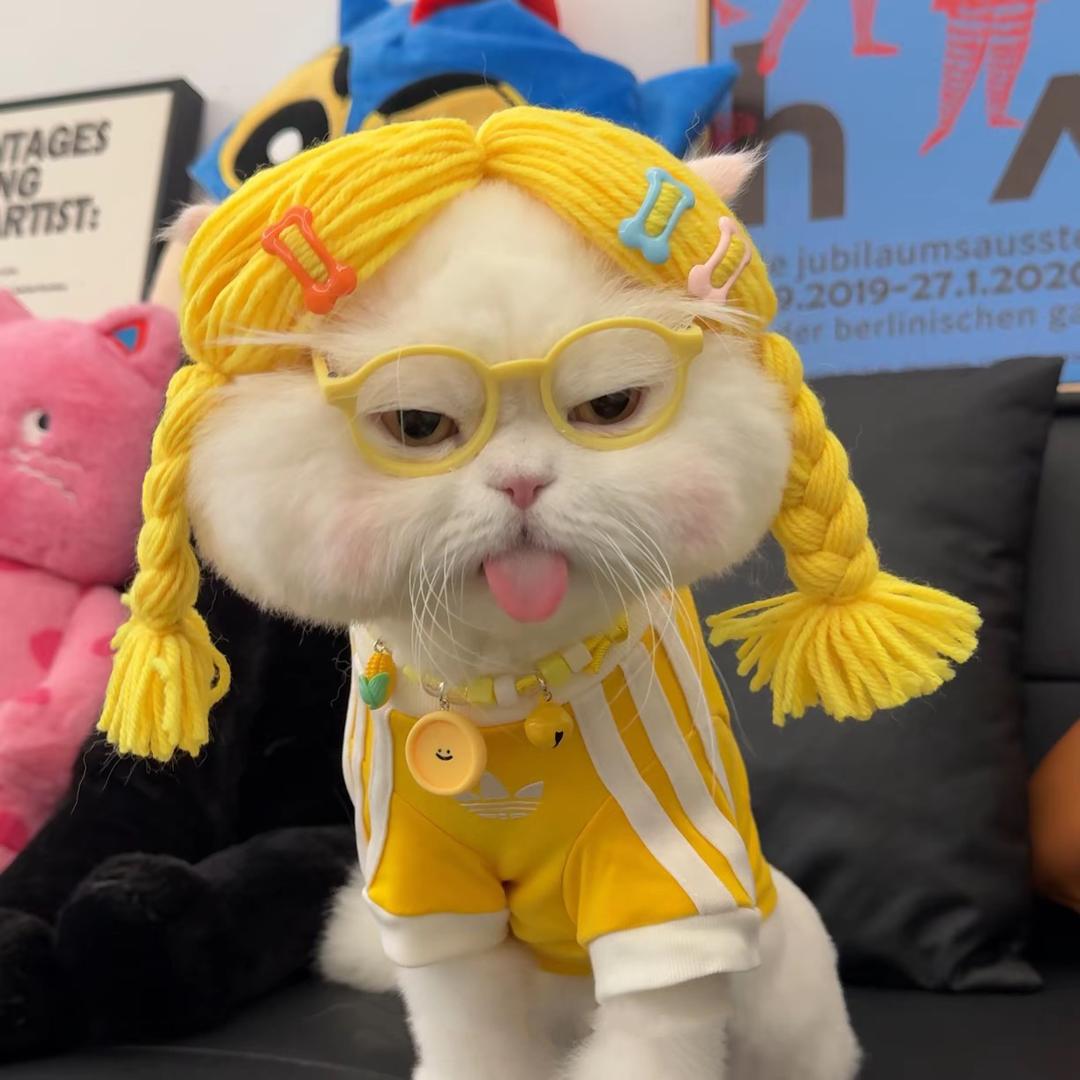hh
