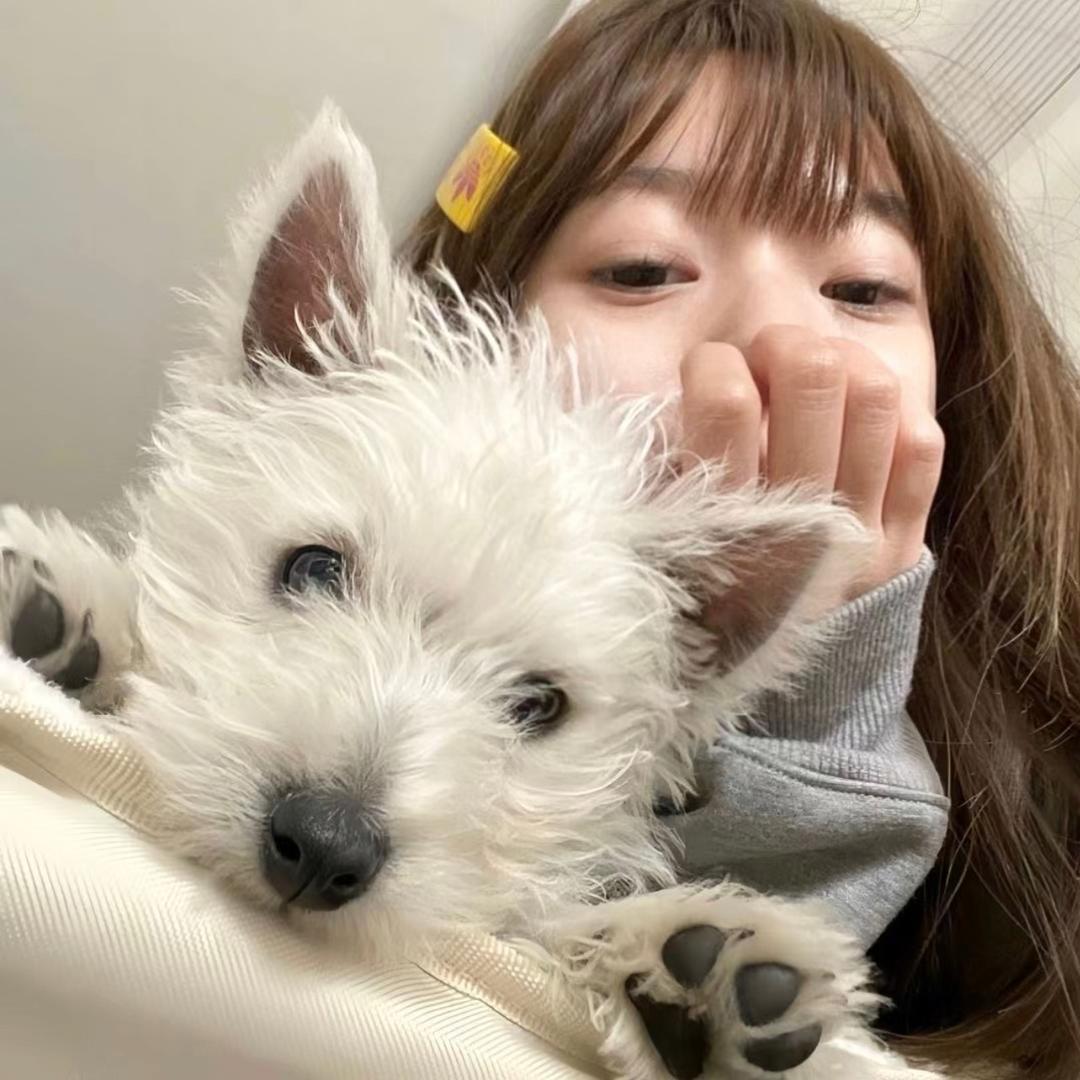🧸不是玲玲
