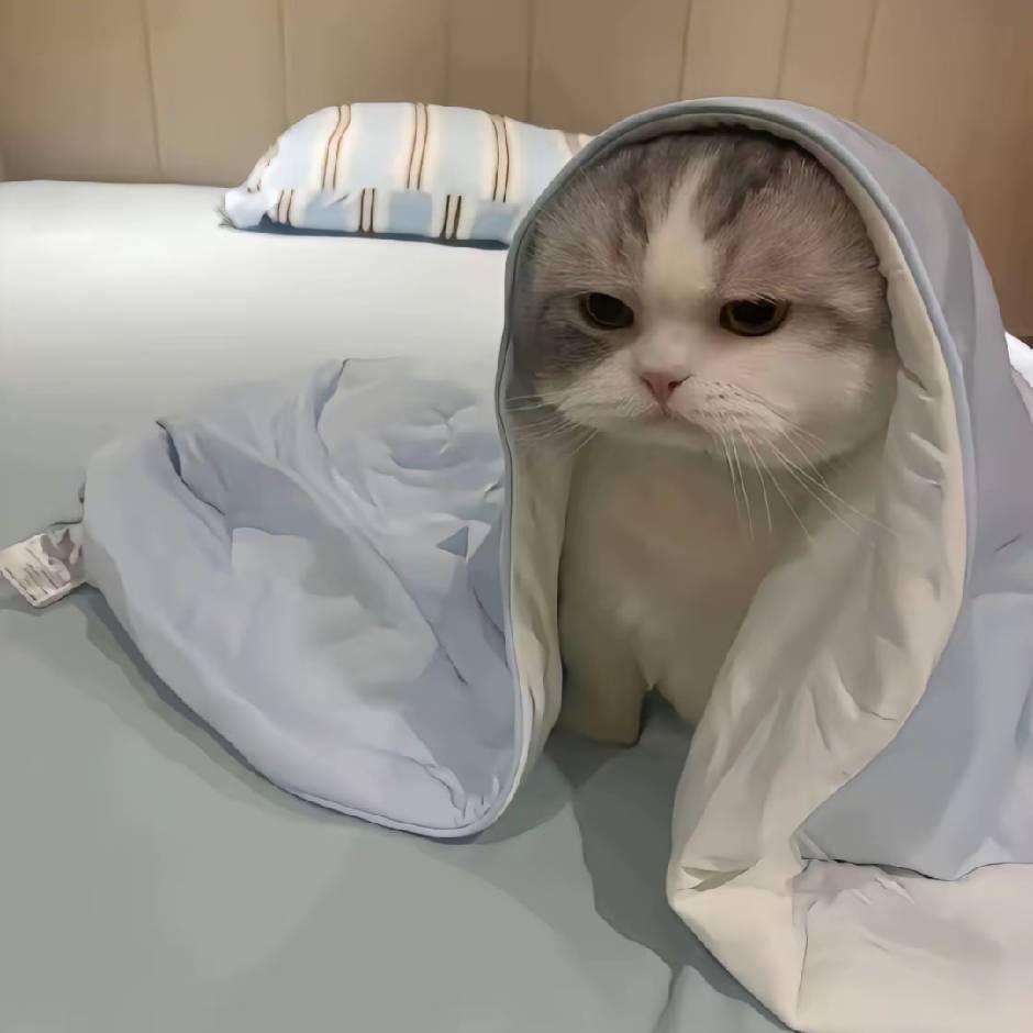 为你哼歌