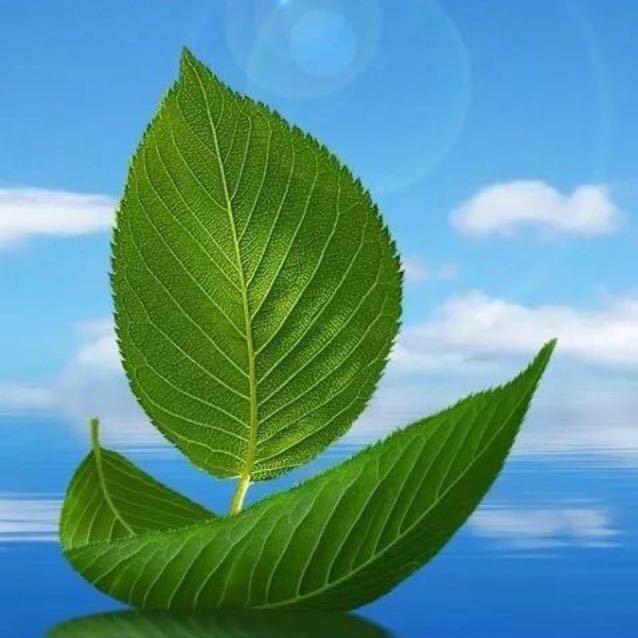 筱宇