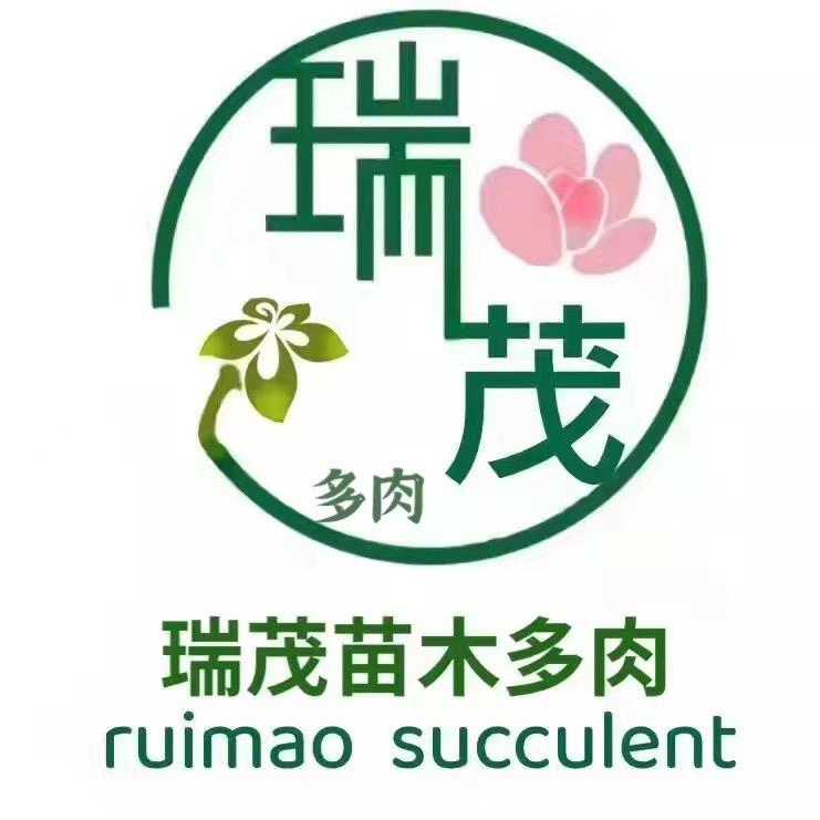 沛县瑞茂苗木多肉种植基地