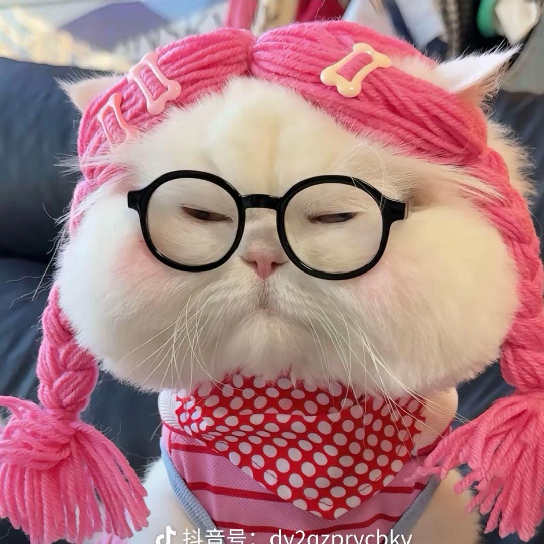 发呆的土豆