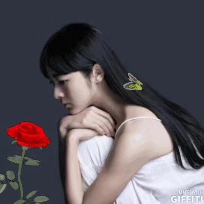 如意（每日分享）