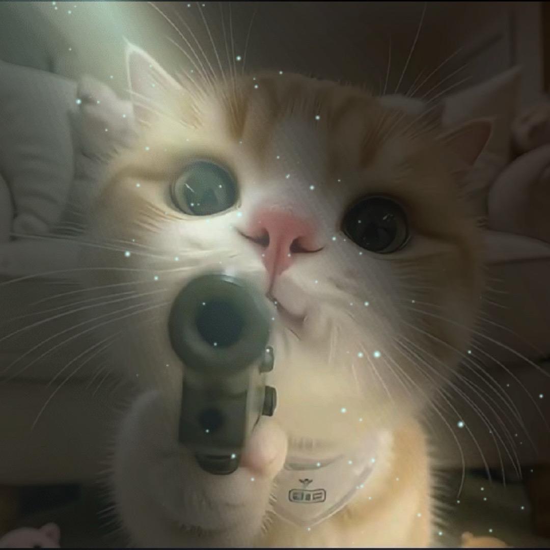 水木清华