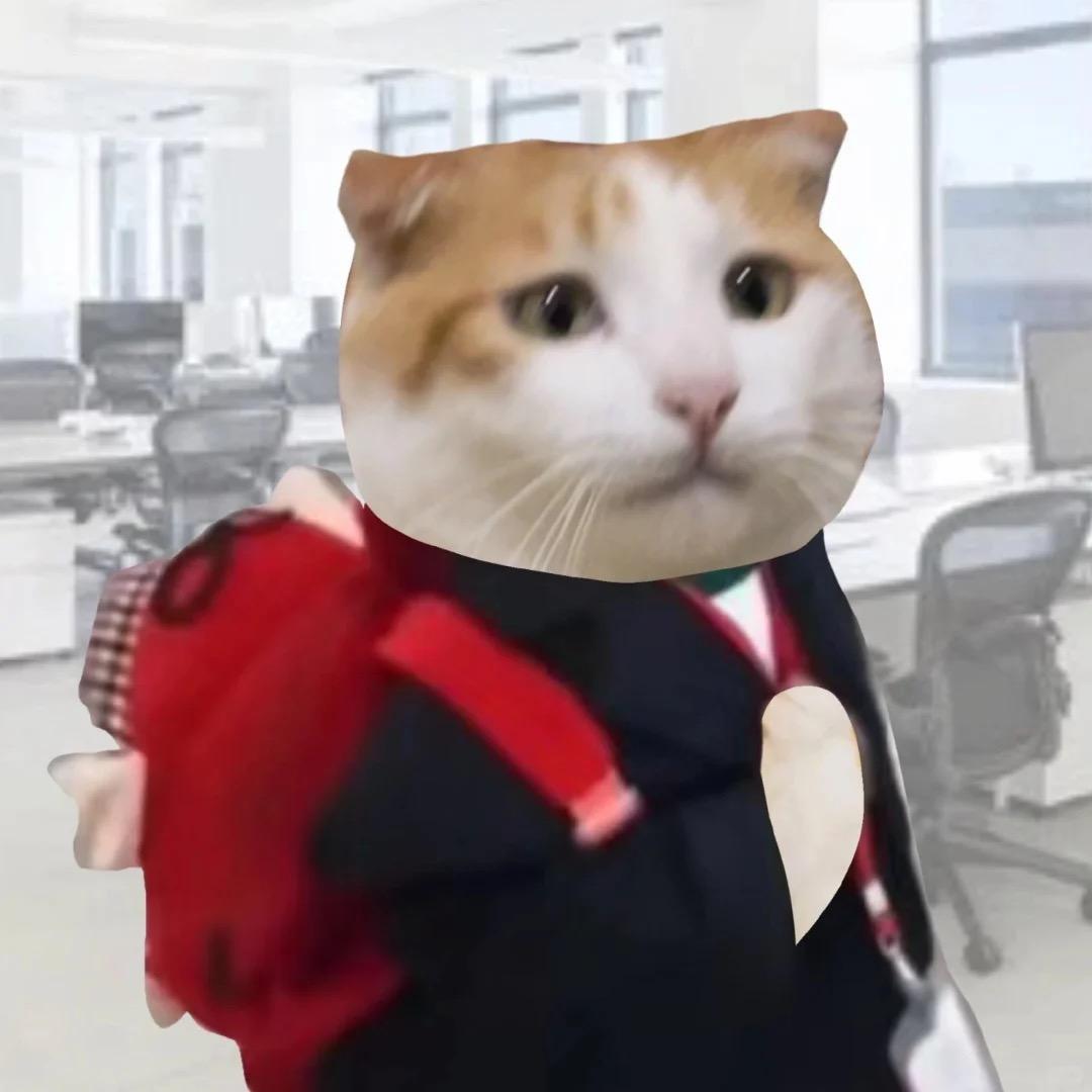 邹总的鱼缸日记