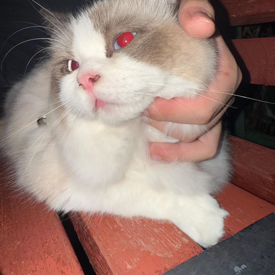 杰杰杰杰杰