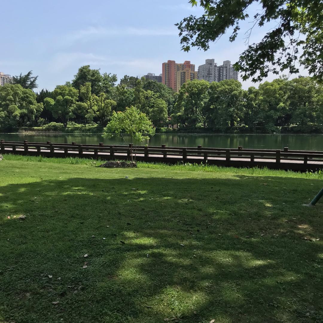 笔下生花（龙）