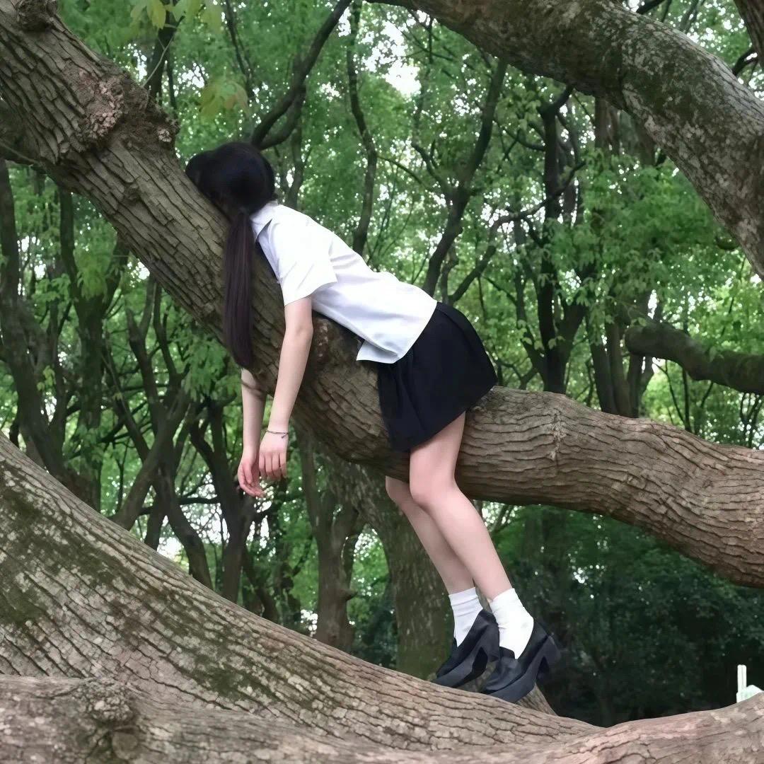 大米🍚饭儿
