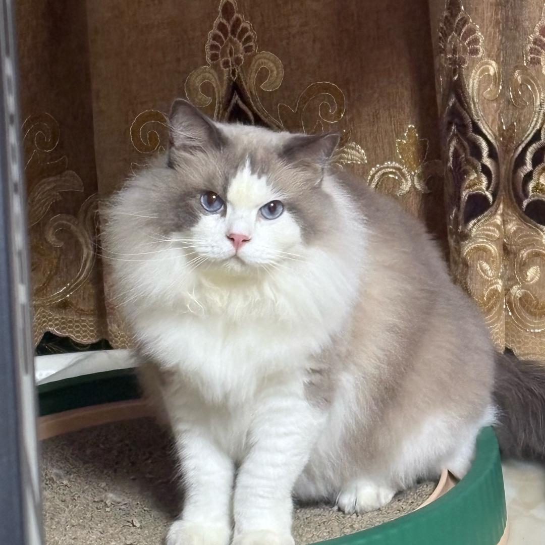 🌈☀️yyyyes🌈