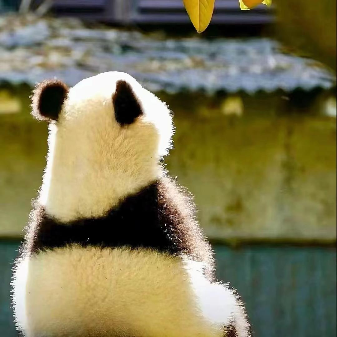 小悦老师爱分享