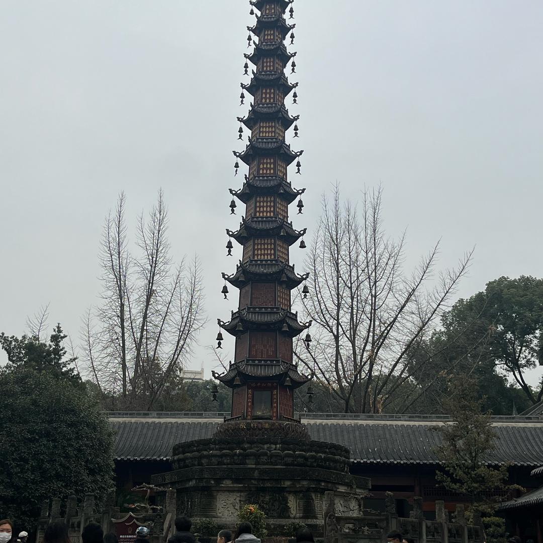 蛋总来了