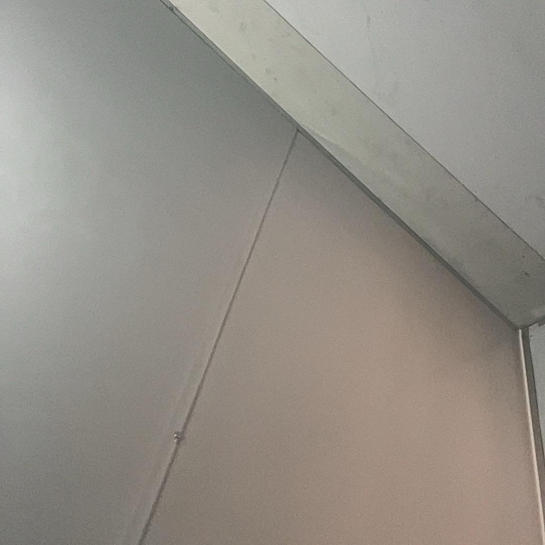 木瓜