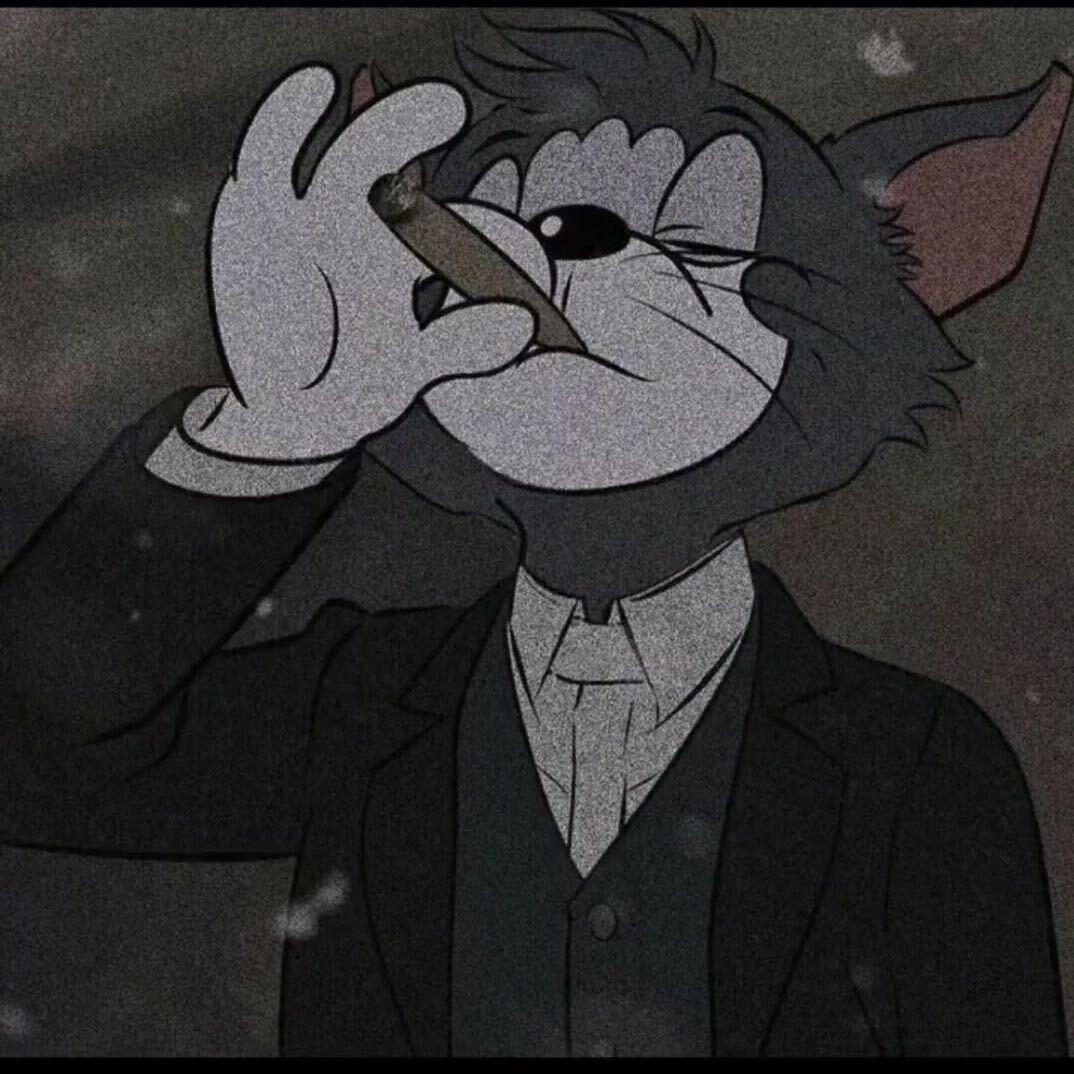 雾小猫