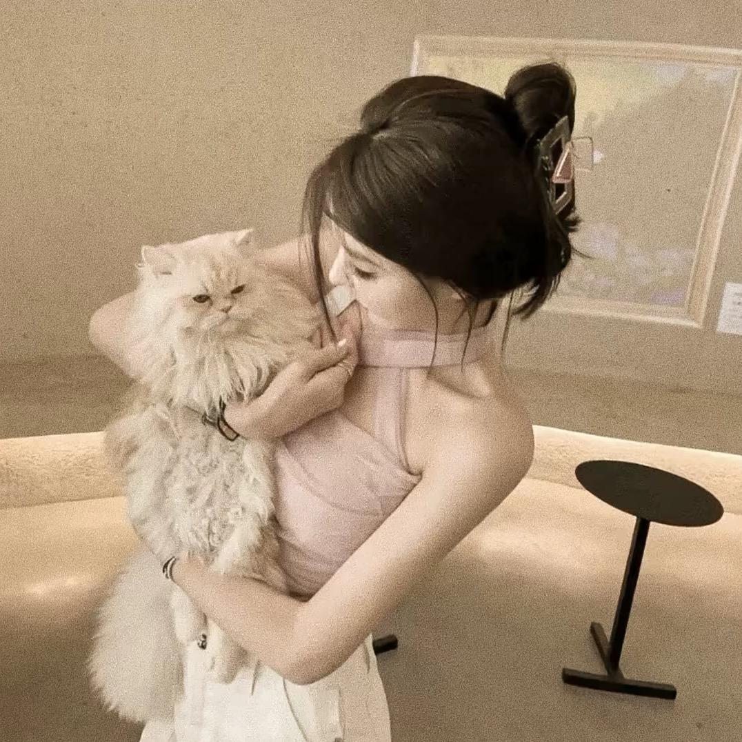 ㅤㅤㅤㅤ￰ 勤屎皇.