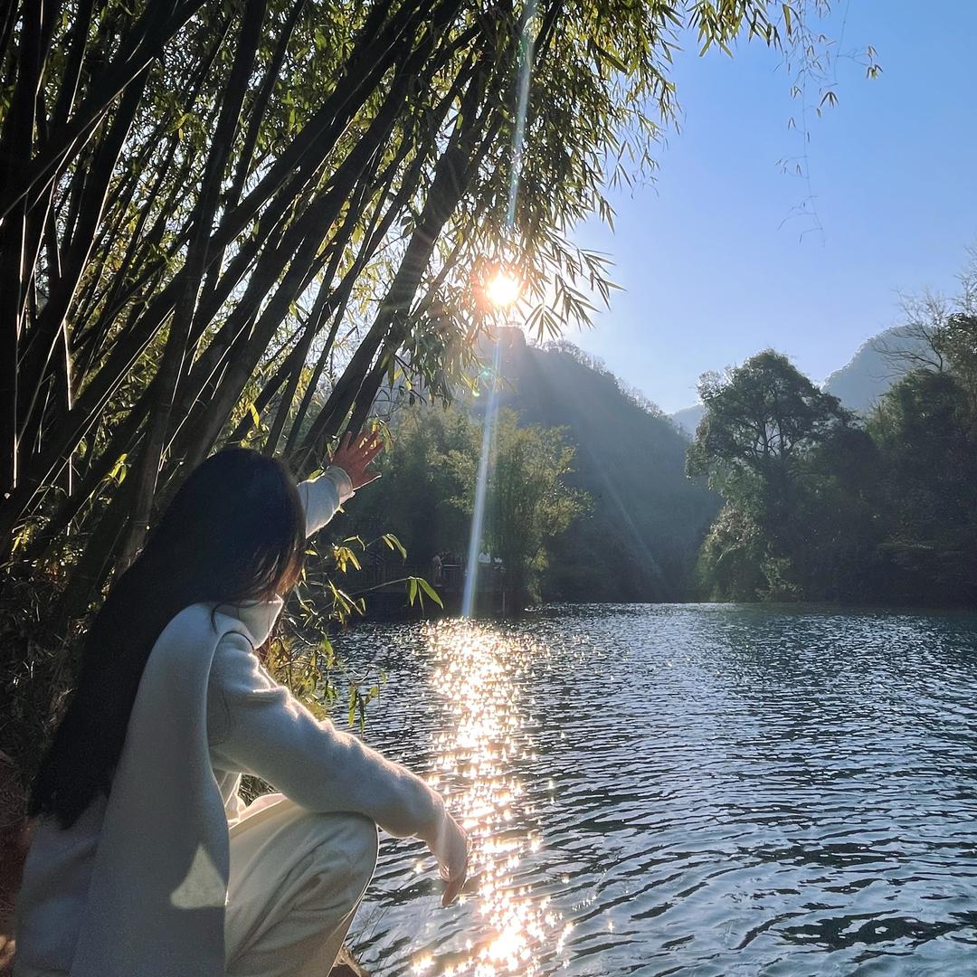是木易杨的杨💐