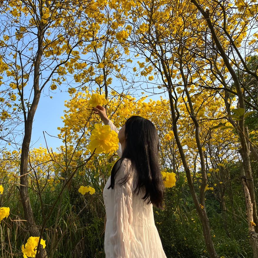 Amy丽丽（云上春至_）