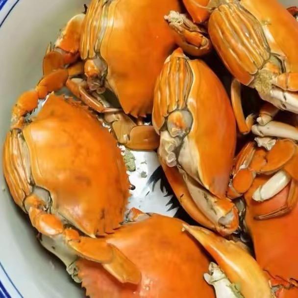 石浦船老大（海鲜严选）