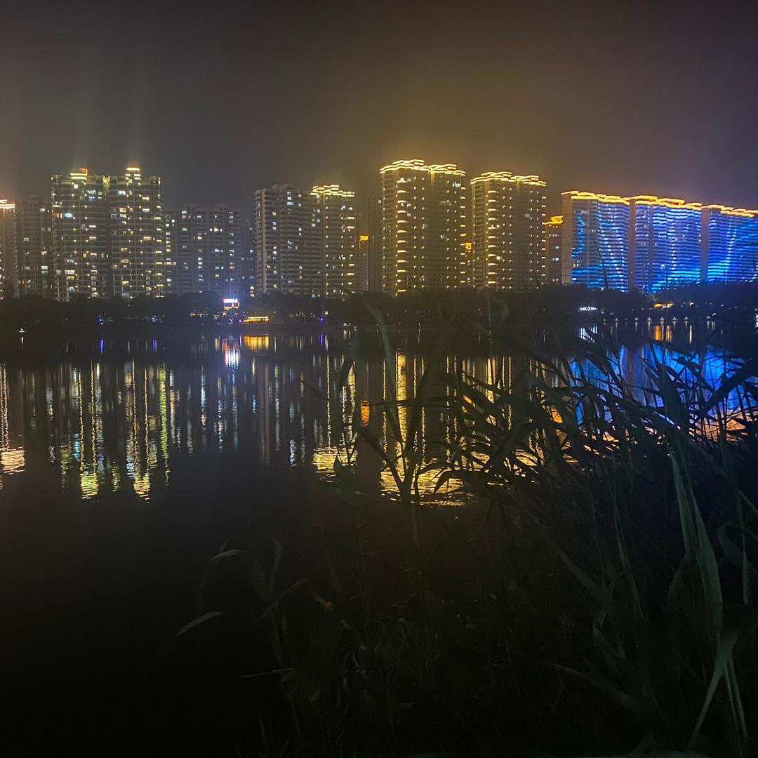 一匹牛