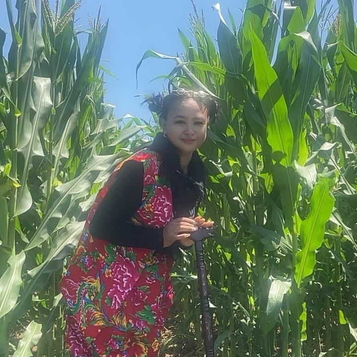一抹