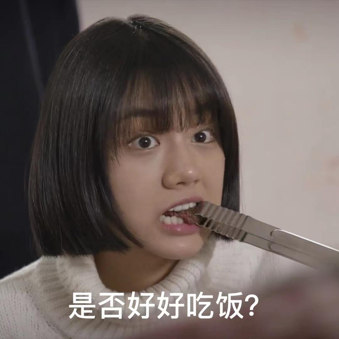 你是来铲屎的吗