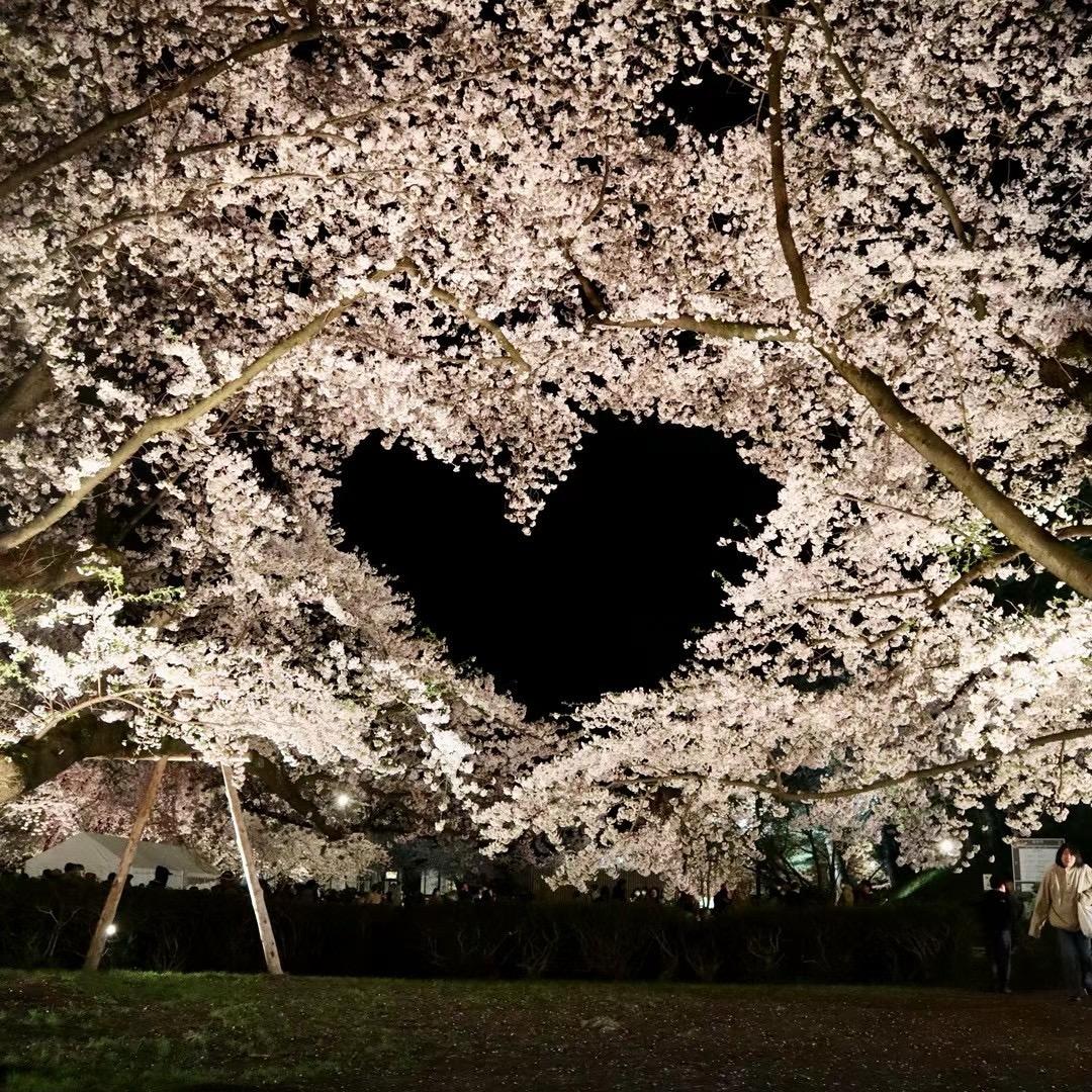 到底发生了什么事