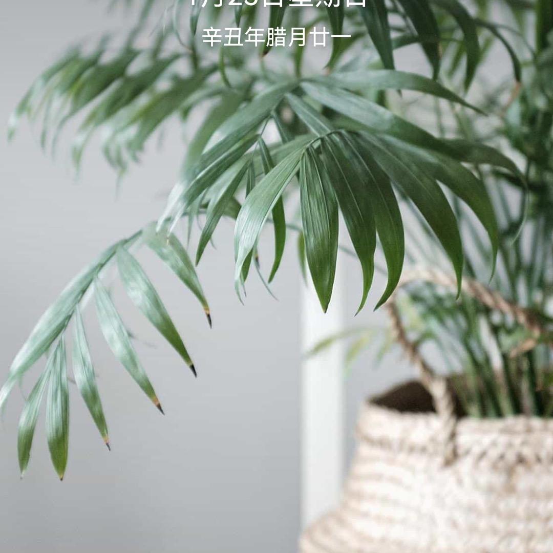 姐就是女王