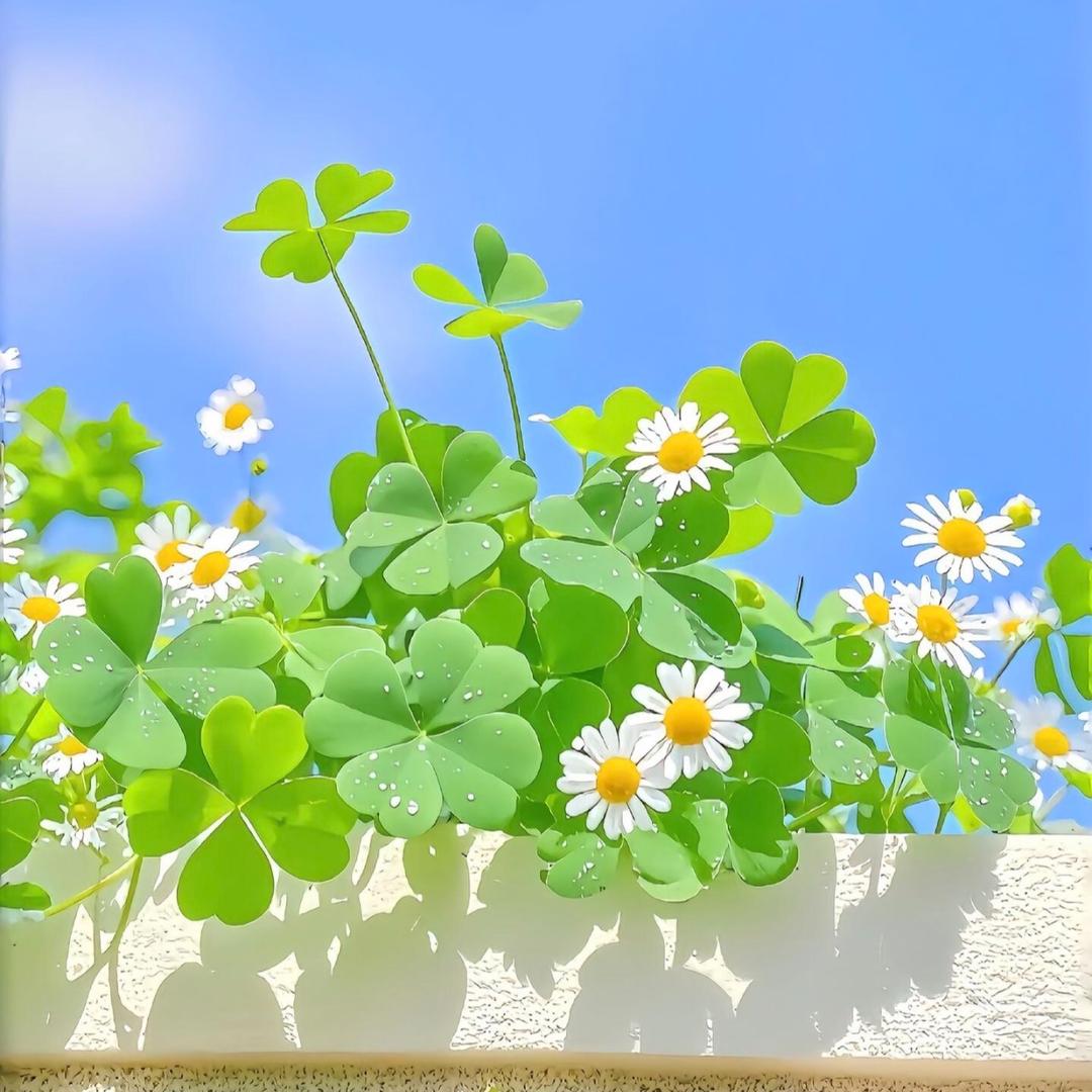 暴富