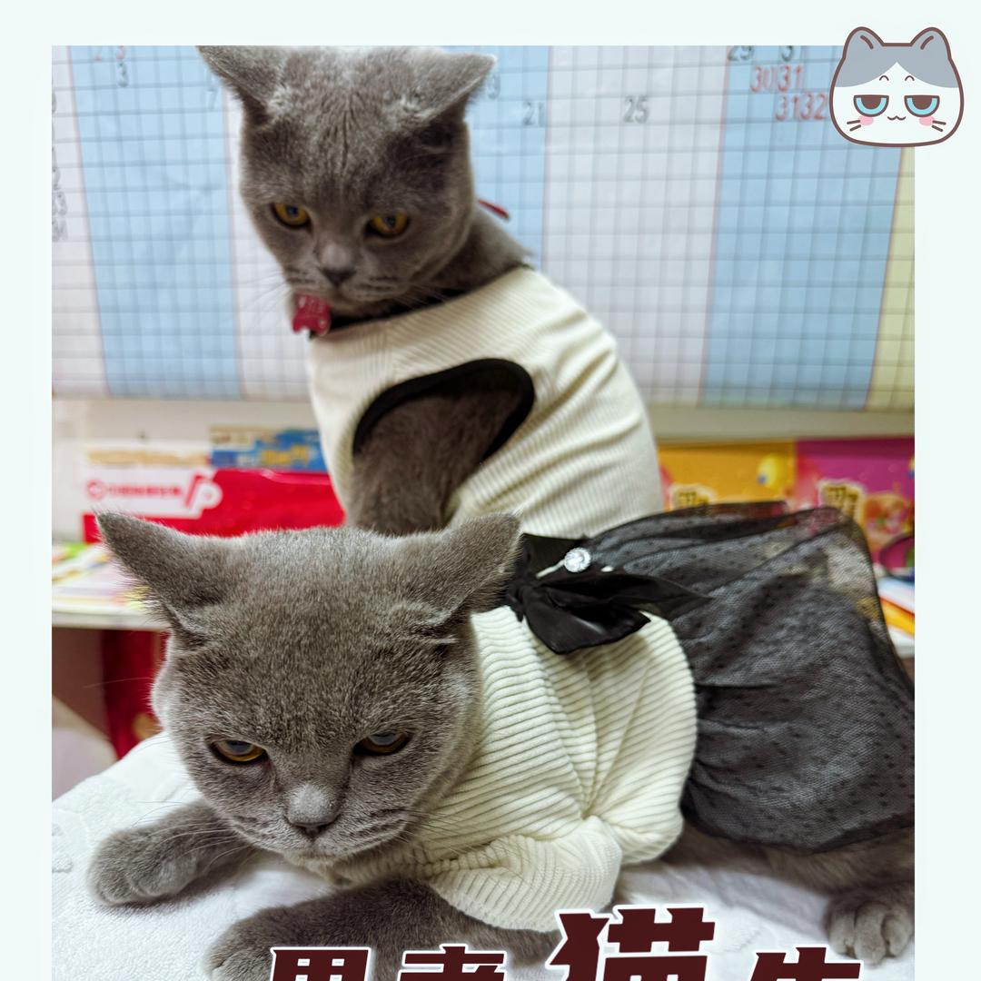余生ꦿ࿆࿆很ꦿཽꦿꦿꦼ贵࿆࿆ꦿ