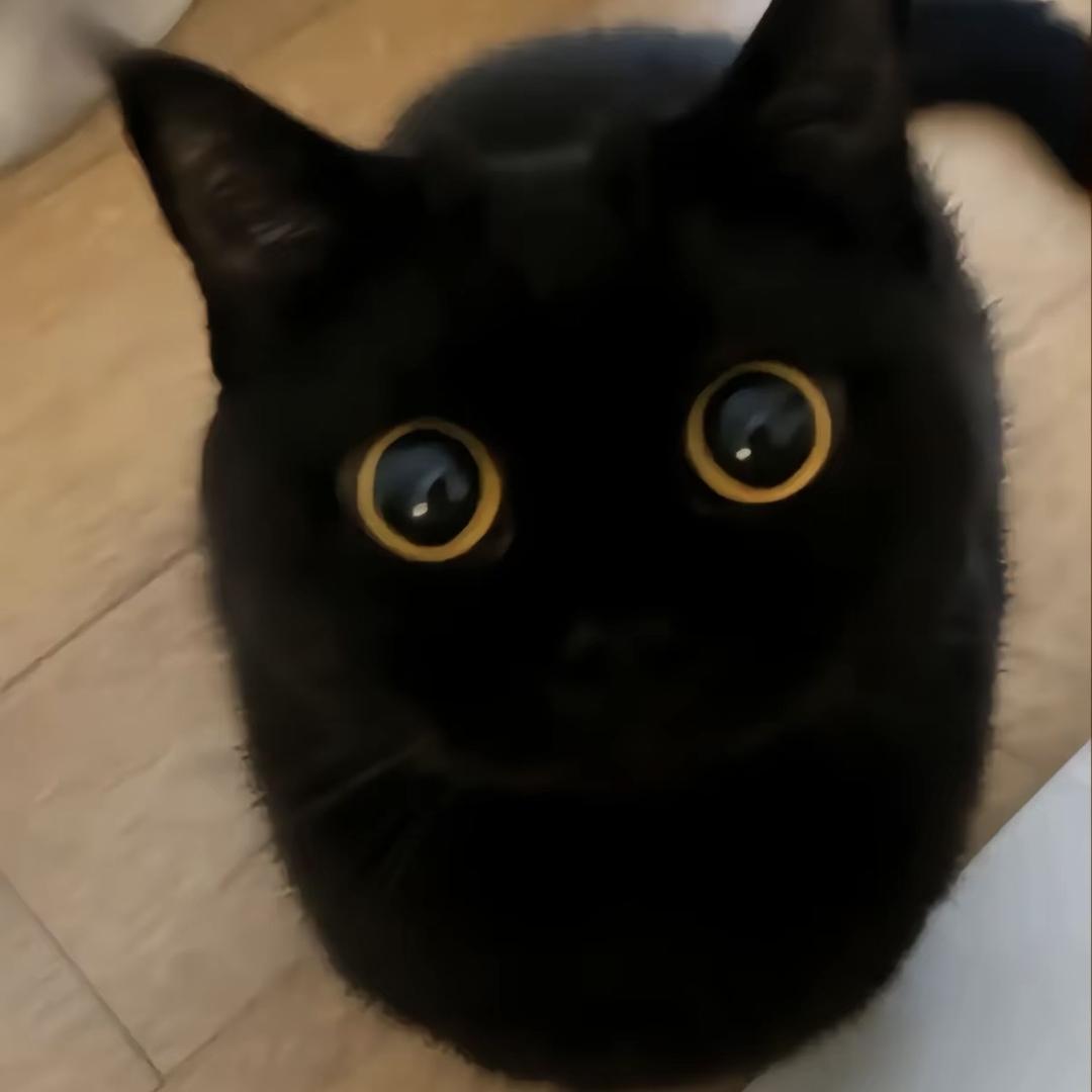 红心