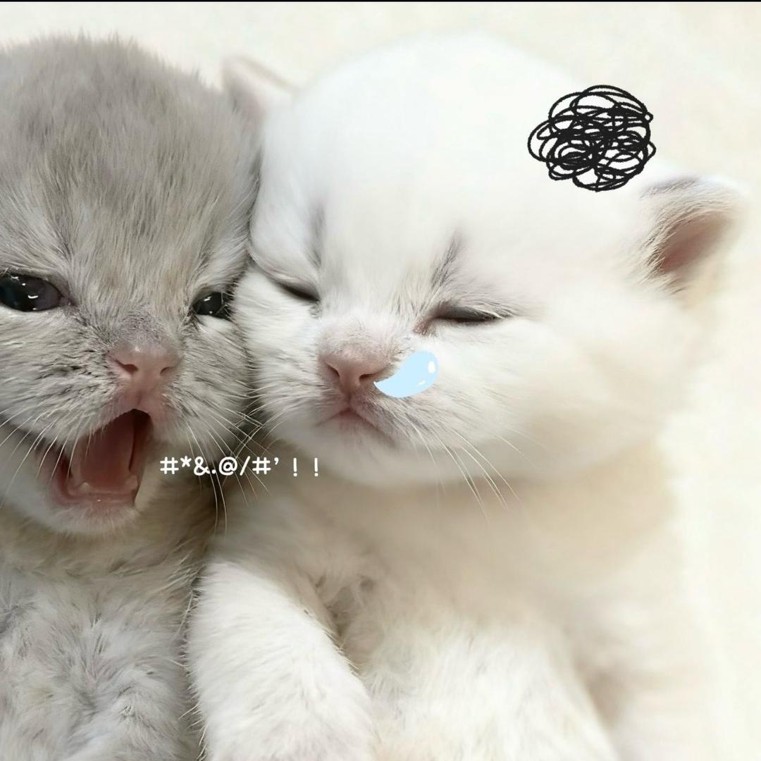 新疆叶问（甜妹版