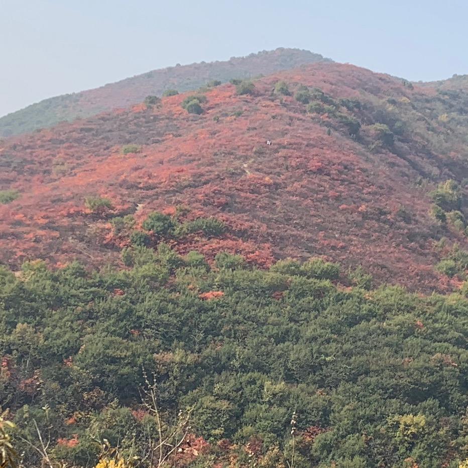 禹州阿得形象沙龙