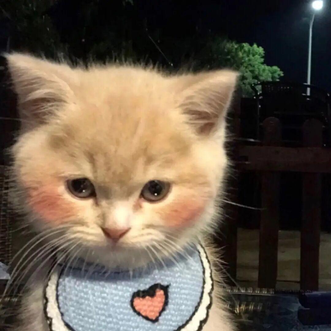 三七￴ ￴ ￴￴ ￴