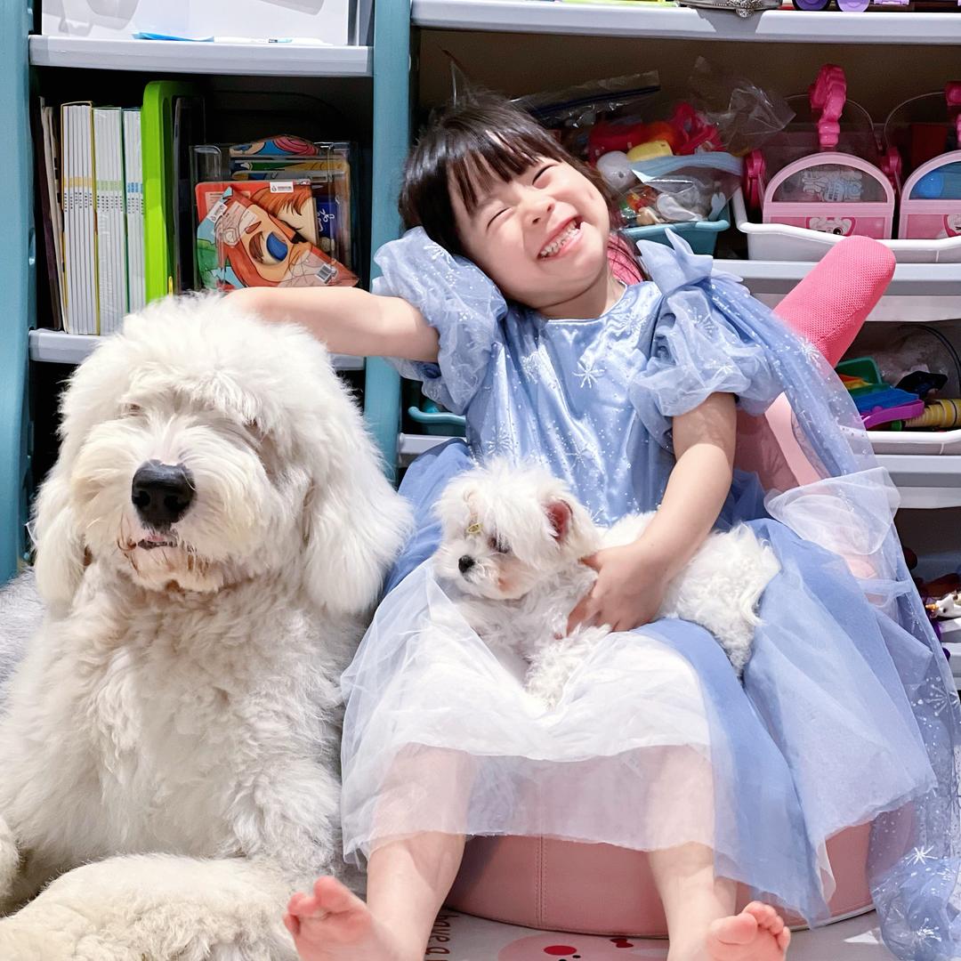 李维克的毛孩子们