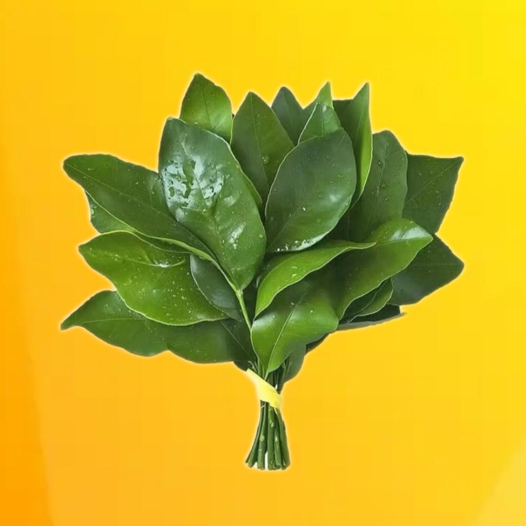 生财有健（陈先生）