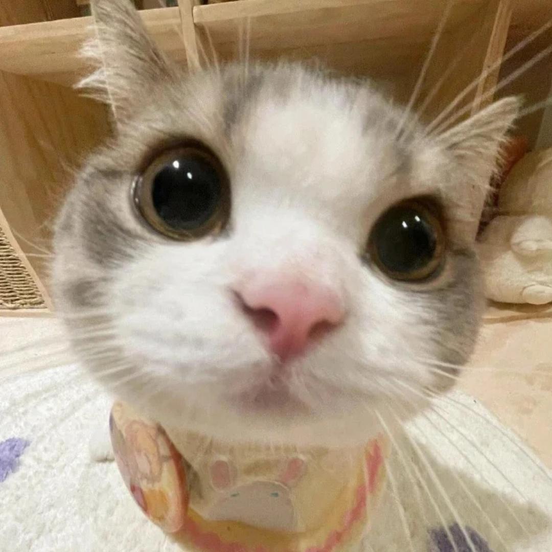 ^点心大王^