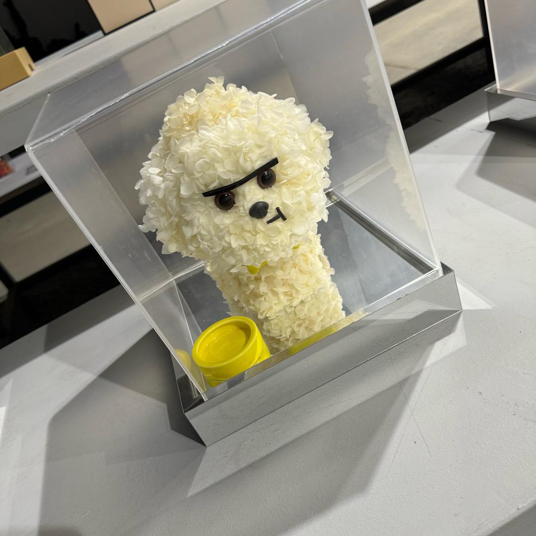 天若有情之艾米