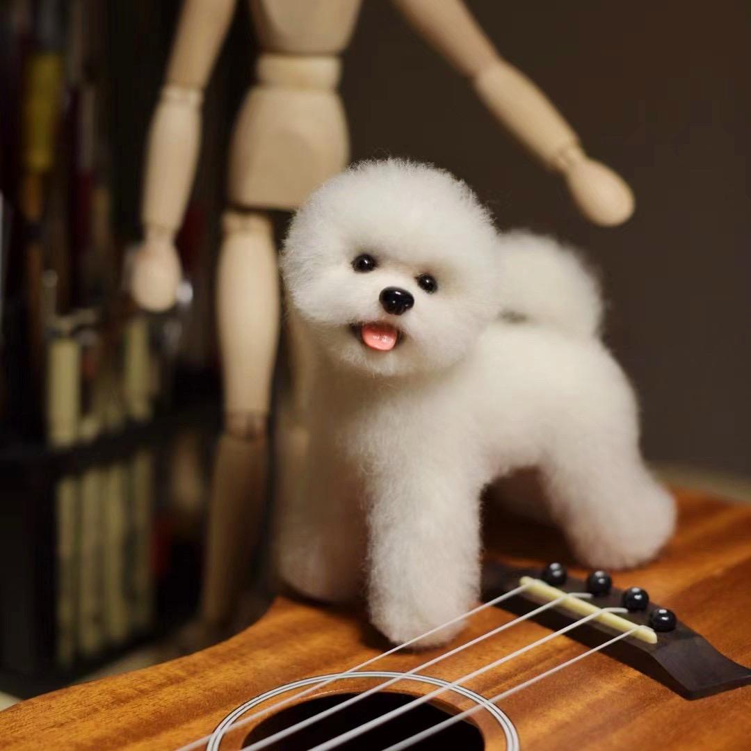 安安宠物手工