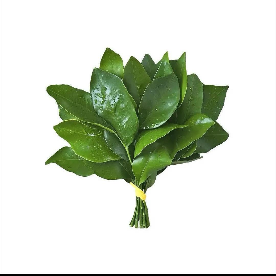 每天睡不醒🫧