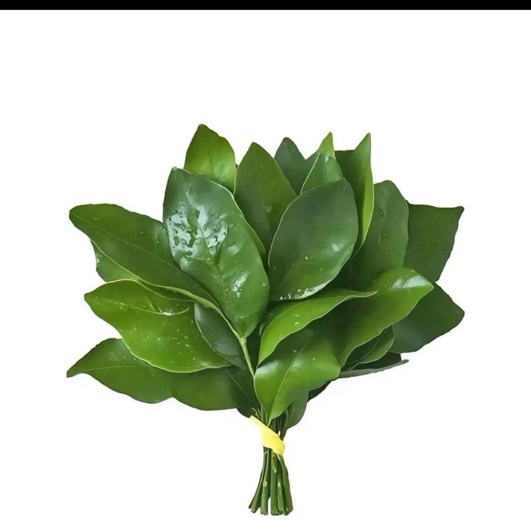 勿念👩🏻‍🦰