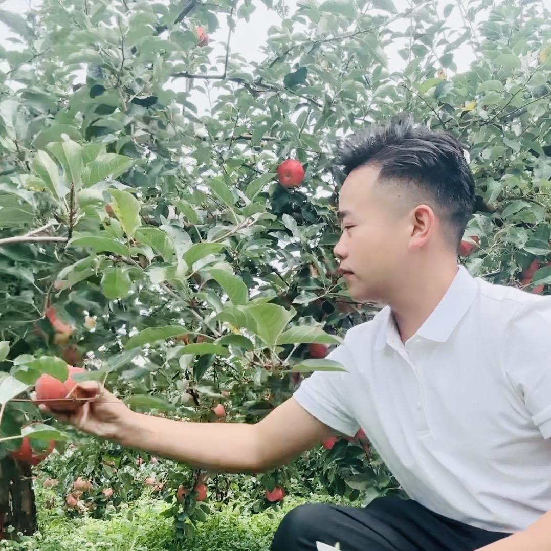 大凉山段先森