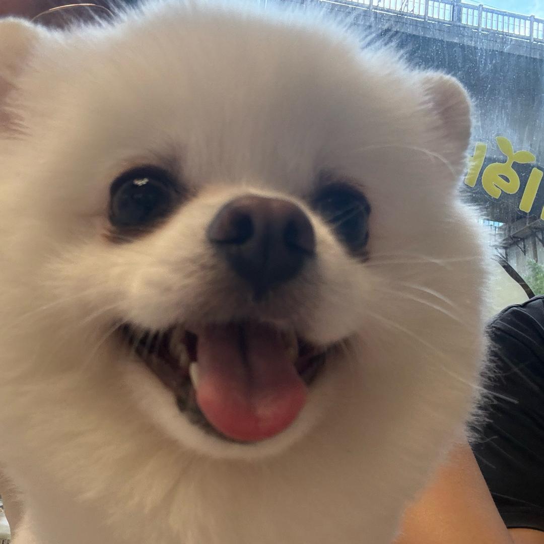 番茄炖土豆