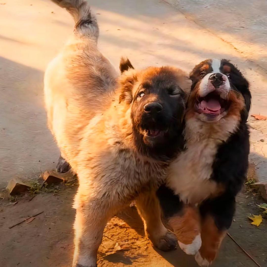 😀😀😀😀😀😀😀