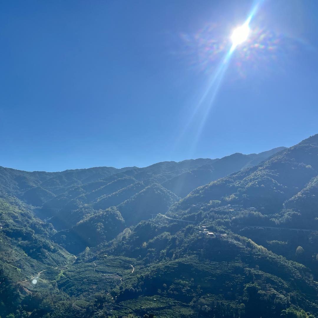 边境特产杂货铺