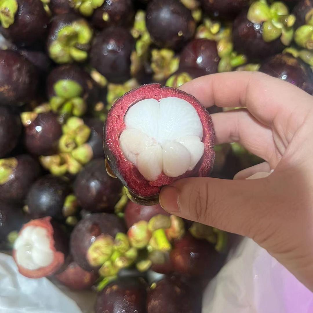致美杂货铺