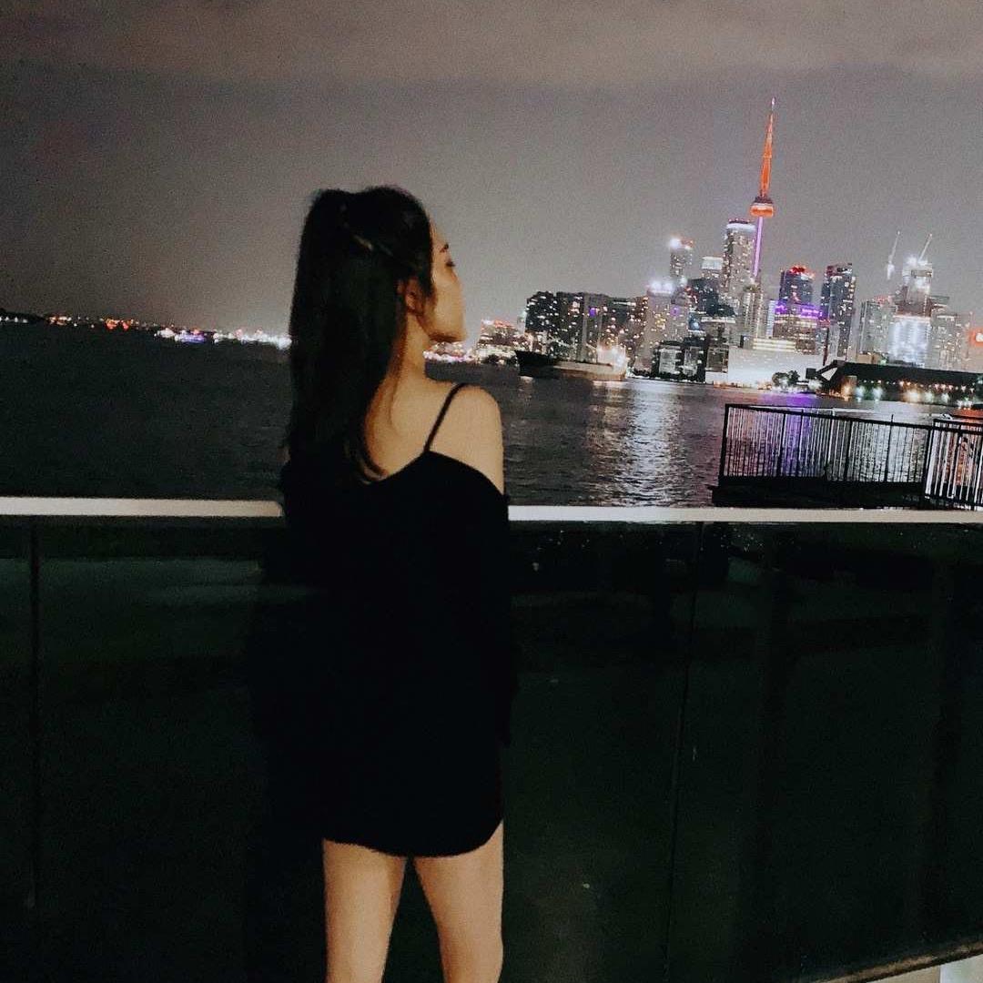 加拿大鹅