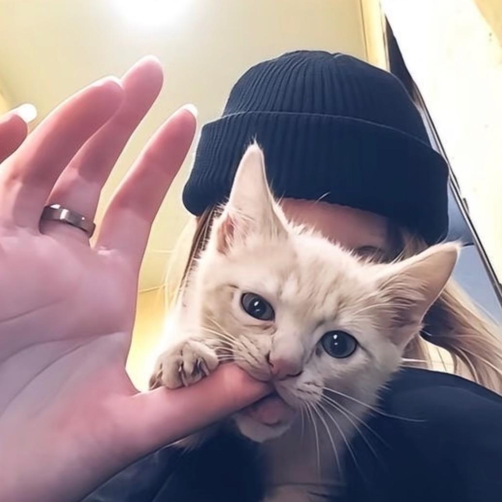 心情不好都怪你