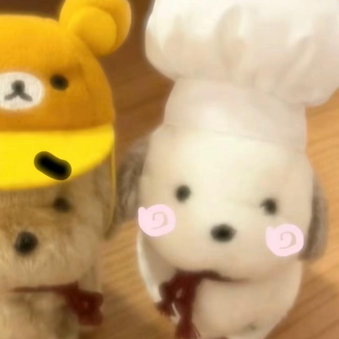 Q7kitty