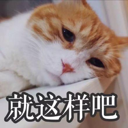 解忧杂货铺2.0