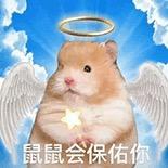 少年没有乌托邦