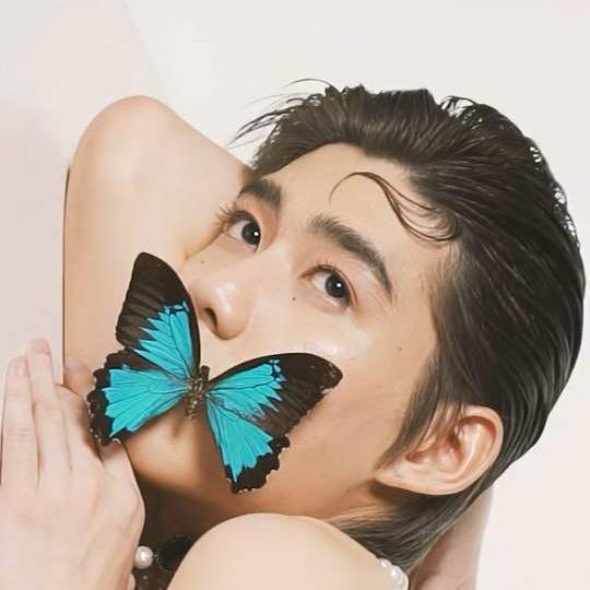 菩提蓬❤️克里特王子